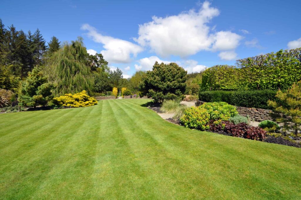 Buckinghamshire, Berkshire, Hertfordshire & Middlesex artifical grass installers near me