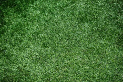 Artificial <b>Grass & Turf</b>  in Buckinghamshire, Berkshire, Hertfordshire & Middlesex